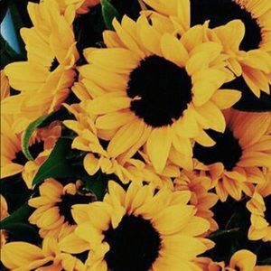 Meet your Posher, Ella